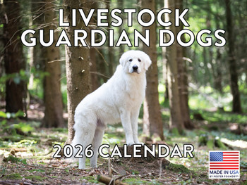 Livestock Guardian Dog Calendar 2026 Monthly Wall Calender 12 Month | American Made In The USA