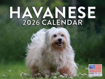 Havanese Calendar 2026 Monthly Wall Calender 12 Month | American Made In The USA