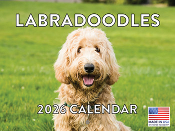 Labradoodle Calendar 2026 Wall 12 Month Monthly Labradoodles Gifts For Labradoodle Lovers Women Men Mom Dad | American Made In The USA