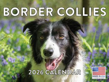 Border Collie Calendar 2026 Monthly Wall Calender 12 Month | American Made In The USA