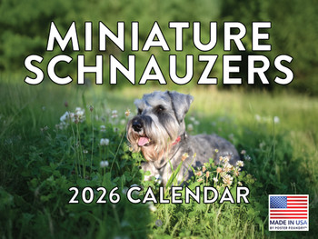 Miniature Schnauzer Calendar 2026 Monthly Wall Calender 12 Month | American Made In The USA