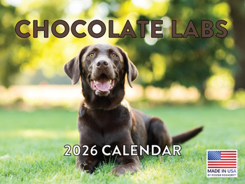 Chocolate Lab Calendar 2026 Labrador Retriever Monthly Wall Calender 12 Month | American Made In The USA