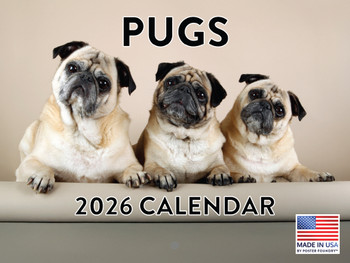 Pug Calendar 2026 Monthly Wall Calender 12 Month | American Made In The USA