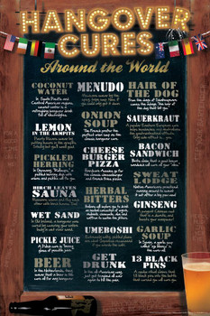 Hangover Cures Around the World Funny Cool Wall Decor Art Print Poster 24x36