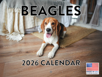 Beagle Calendar 2026 Wall Monthly Beagles Gifts For Beagle Lovers Women Men Mom Dad | American Made In The USA