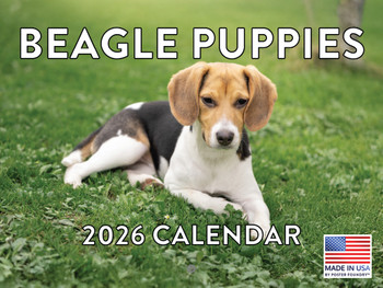 Beagle Puppy Calendar 2026  Monthly Wall Calender 12 Month | American Made In The USA