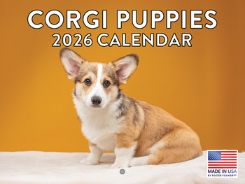 Corgi Puppy Calendar 2026 Monthly Wall Calender 12 Month | American Made In The USA