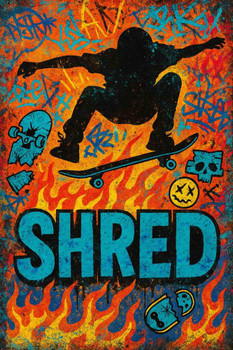 Shred Graffiti Flames Skateboard Street Cool Wall Art Print Poster 12x18