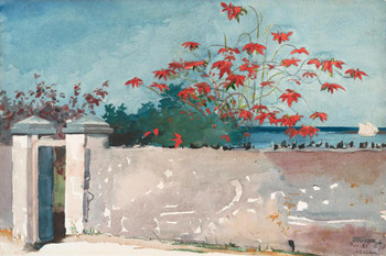 Winslow Homer A Wall Nassau 1898 Watercolor And Graphite Drawing Cool Wall Art Print Poster 24x16
