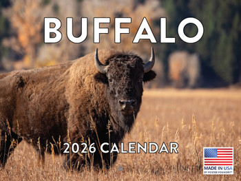 Buffalo Bison Calendar 2026 Monthly Wall
