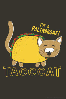 TacoCat Im A Palindrome Funny Cat Poster Funny Wall Posters Kitten Posters for Wall Motivational Cat Poster Funny Cat Poster Inspirational Cat Poster Cool Wall Art Print Poster 16x24