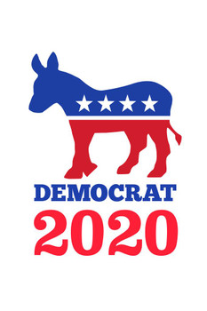 Vote Democrat 2020 Donkey Logo White Cool Wall Art Print Poster 16x24