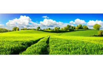 Lush Green Fields Farm Vibrant Blue Sky Clouds Panoramic Photo Laminated Dry Erase Sign Poster 18x12