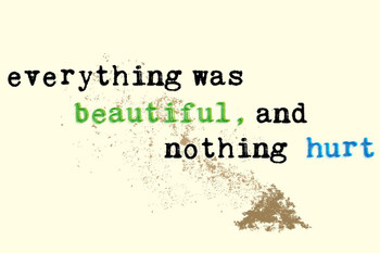 Laminated Everything Was Beautiful And Nothing Hurt Art Print Poster 12x18