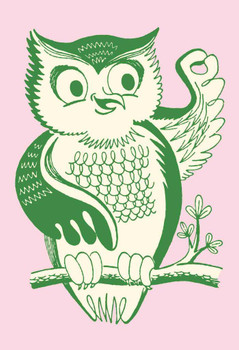 Vintage Owl Pointing Gesture Art Retro Bird Illustration Cool Wall Art Print Poster 16x24