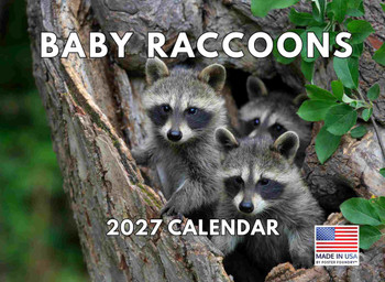 Baby Raccoon Calendar 2027 Monthly Wall Calender 12 Month
