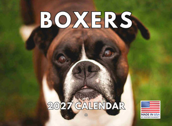 Boxer Calendar 2027 Monthly Wall Calender 12 Month