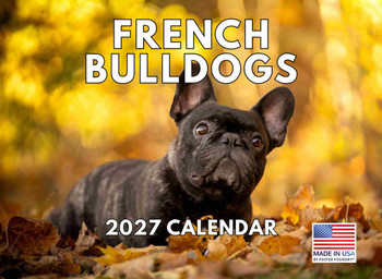 French Bulldog Calendar 2027 Frenchie Dog Gifts Monthly Wall Calender 12 Month
