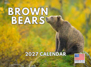 Brown Bear Calendar 2027 Bears Monthly Wall Calender 12 Month