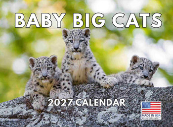 Baby Big Cat Calendar 2027 Cubs Monthly Wall Calender 12 Month