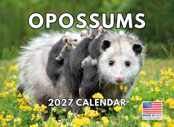 Opossum Calendar 2027 Wall 12 Month Opossums Gifts For Opossum Lovers Women Men Monthly Calender| American Made In The USA