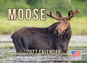 Moose Calendar 2027 Monthly Wall Calender 12 Month