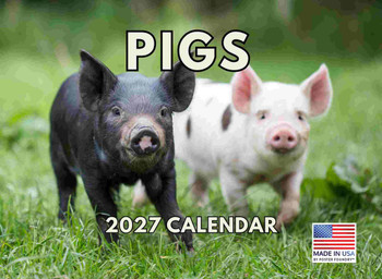 Pig Calendar 2027 Monthly Wall Calender 12 Month