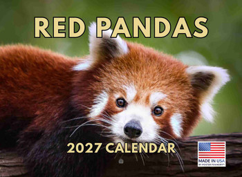 Red Panda Calendar 2027 Monthly Wall Calender 12 Month