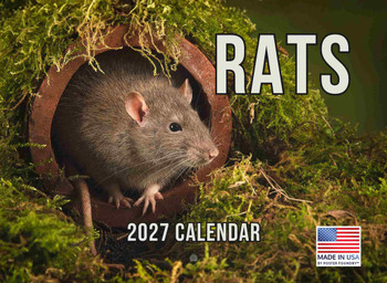 Rat Calendar 2027 Monthly Wall Calender 12 Month