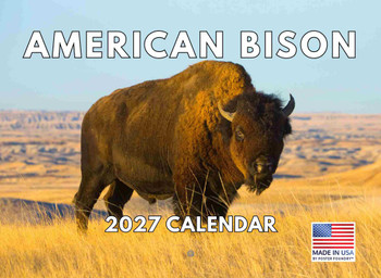 American Bison Calendar 2027 Wall 12 Month Gifts For Buffalo Lovers Women Men Monthly