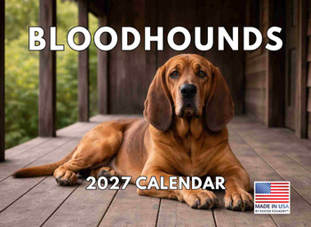Bloodhound Dog Calendar 2027 Monthly Wall | American Made In The USA