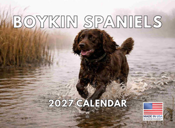 Boykin Spaniel Dog Calendar 2027 Monthly Wall