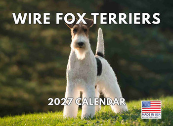 Fox Terrier Calendar 2027 Dog Monthly Wall Calender