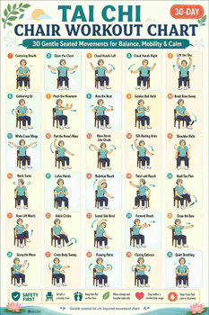 Tai Chi Chair Workout Chart Print Poster 12x18