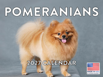 Pomeranian Calendar 2027 Monthly Wall Calender 12 Month
