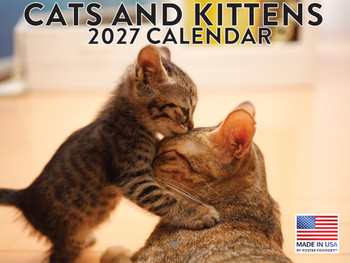Cats And Kittens Calendar 2027 Monthly Wall Calender 12 Month | American Made In The USA