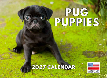 Pug Puppies Calendar 2027 Monthly Wall Calender 12 Month