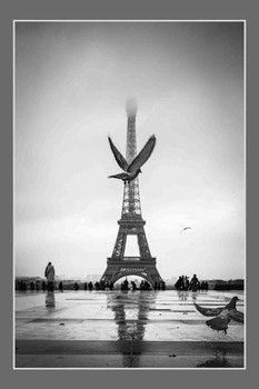 Laminated Eiffel Tower With Birds Black And White Paris Romantic City Poster Dry Erase Wall Art 12x18