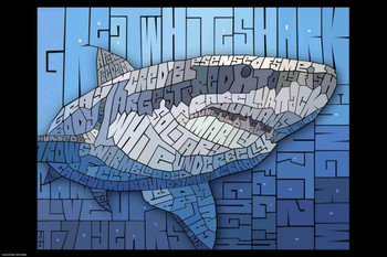 Laminated Curtis Epperson Shark Word Mosaic Art Hand Drawn Poster Dry Erase Wall Art 24x36