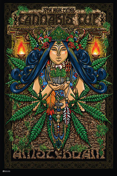 Laminated High Times Cannabis Cup Amsterdam Poster Dry Erase Wall Art 16x24