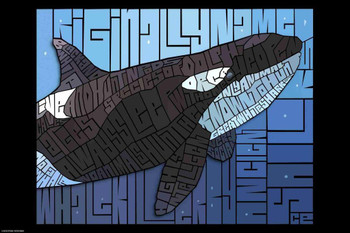 Laminated Curtis Epperson Orca Killer Whale Word Mosaic Art Hand Drawn Poster Dry Erase Wall Art 16x24