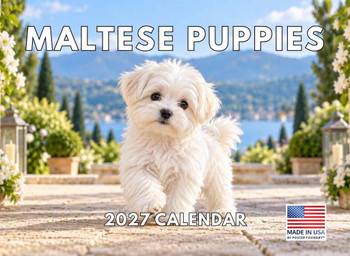 Maltese Puppy Calendar 2027 Monthly Wall Calender 12 Month