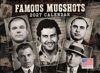 Famous Mugshots 2027 Calendar Celebrity and Criminal Photos