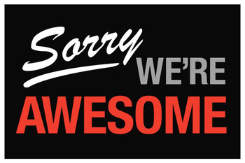 Sorry Were Awesome Sign Cool Huge Large Giant Poster Art 36x54