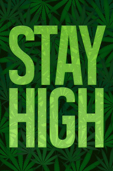 Stay High Marijuana Cannabis Bud Pot Joint Weed Ganja Bong Blunt College Humor Leaves Cool Wall Art Print Poster 24x36