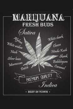 Marijuana Fresh Buds Premium Quality Chalkboard Art Print Cool Huge Large Giant Poster Art 36x54