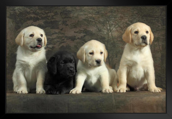 Togetherness Labrador Retriever Puppies Puppy Posters For Wall Funny Dog Wall Art Dog Wall Decor Puppy Posters For Kids Bedroom Animal Wall Poster Cute Animal Black Wood Framed Art Poster 20x14