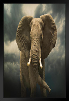 African Elephant Under Cloudy Stormy Sky Photo African Elephant Wall Art Elephant Posters For Wall Elephant Art Print Elephants Wall Decor Photo Elephant Tusks Black Wood Framed Art Poster 14x20