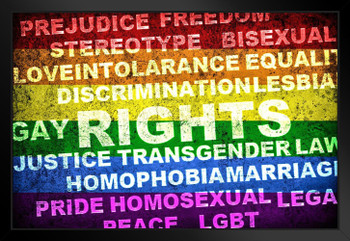 Human Rights LGBT Transgender Lesbian Racism Gay Pride Art Print Black Wood Framed Poster 20x14