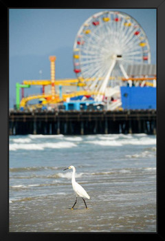 Egret Steping into the Sea Santa Monica Beach Pier Los Angeles Photo Art Print Black Wood Framed Poster 14x20